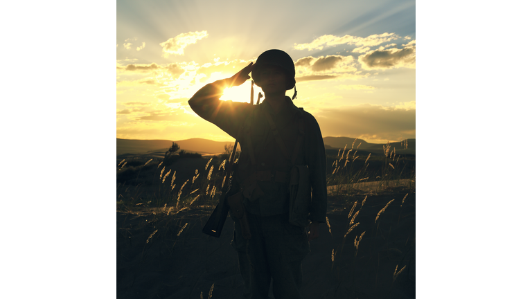 The Toll of Warfare / Chemtrails Agenda