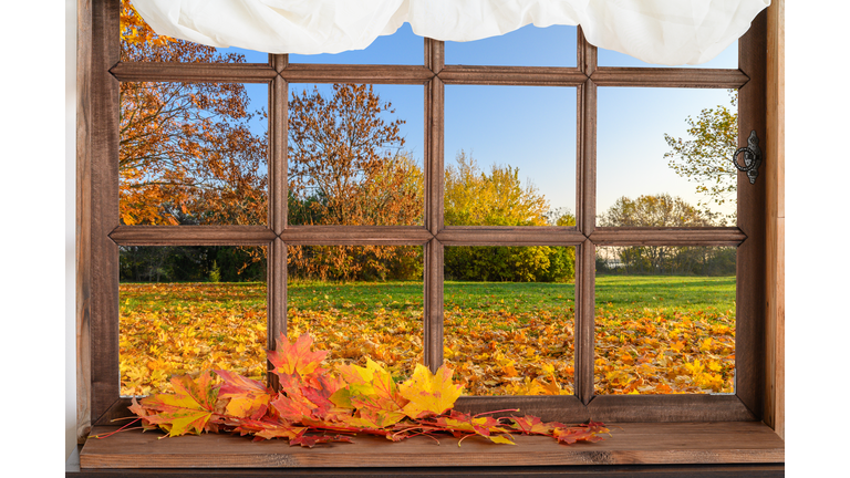 old wooden window and view to autmn backyard with yellow falling leaves