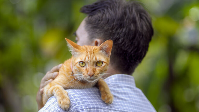 Asian middle aged relaxing with cat in backyard.