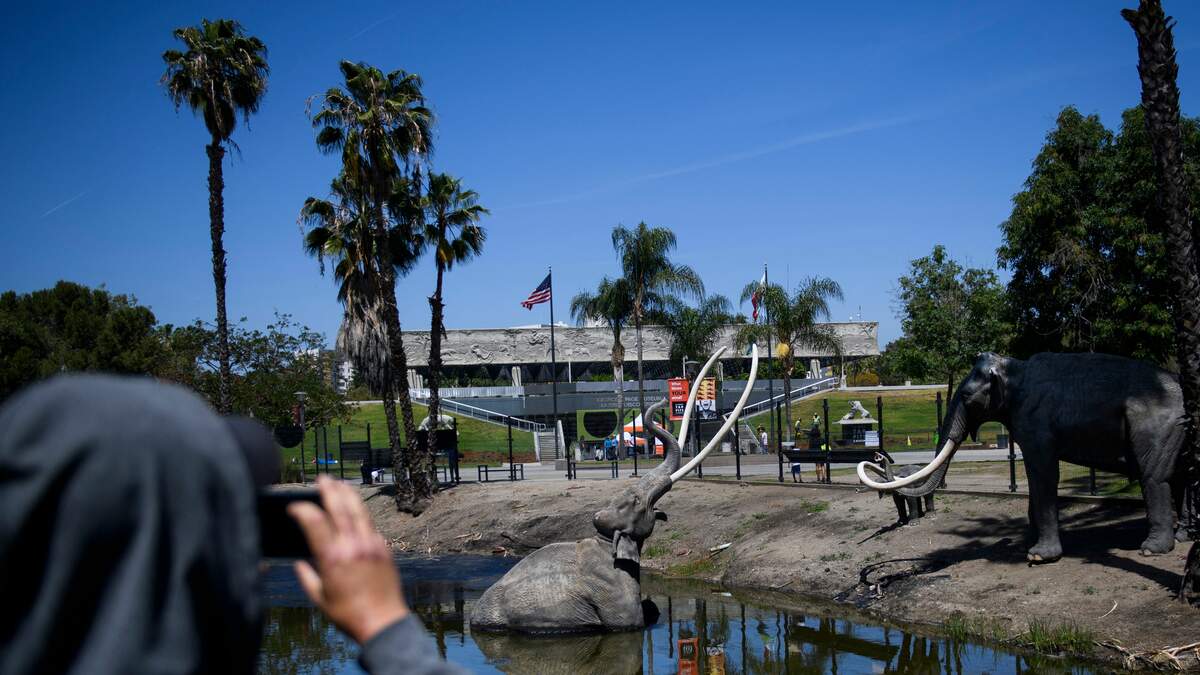 La Brea Tar Pits Named Among First 100 Geological Heritage Sites | KFI ...