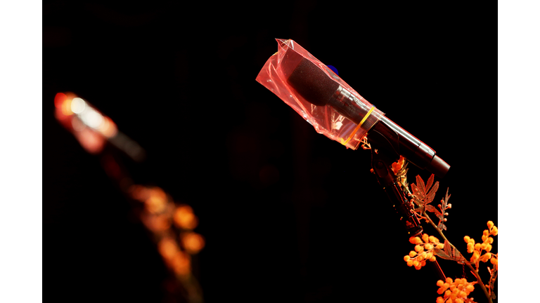 Sydney Opera House Streams Performances To Audiences At Home During Coronavirus Shutdown