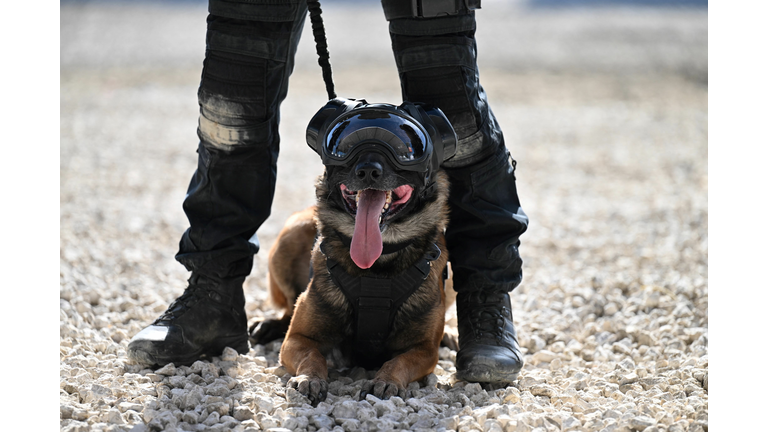 FRANCE-POLICE-SECURITY-FAIR-EUROSATORY