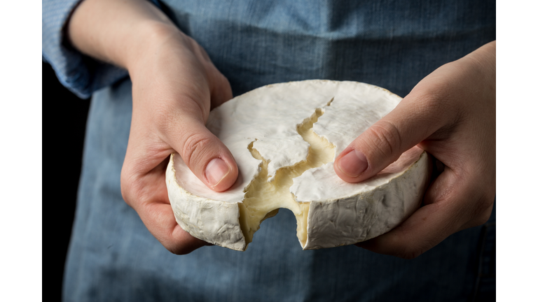 Woman in blue apron holding soft french camembert cheese on dark background