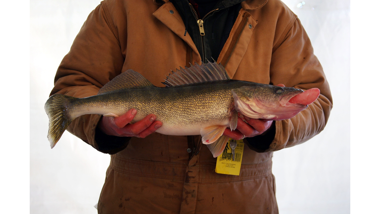 Minnesota Lake Boasts World's Biggest Ice Fishing Competition