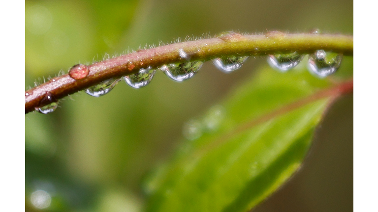 GERMANY-WEATHER-RAIN