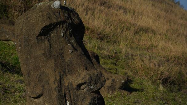Easter Island Statues Suffer 'Irreparable Damage' Caused By Forest Fire