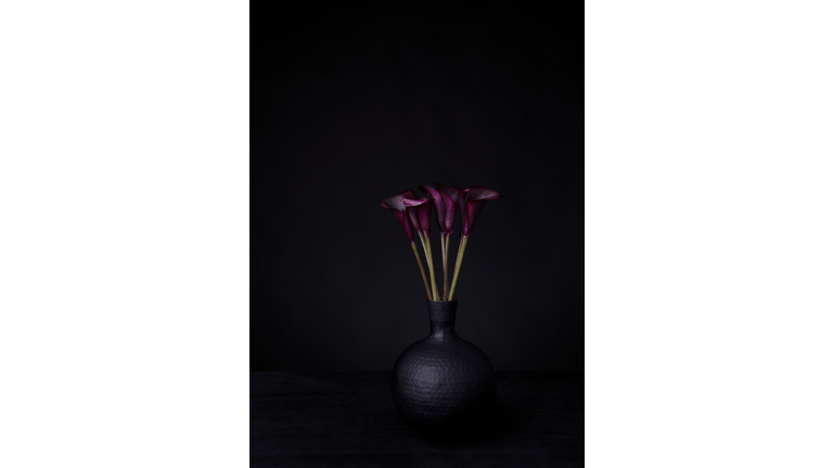 Studio Black Calla Lilly in Vase