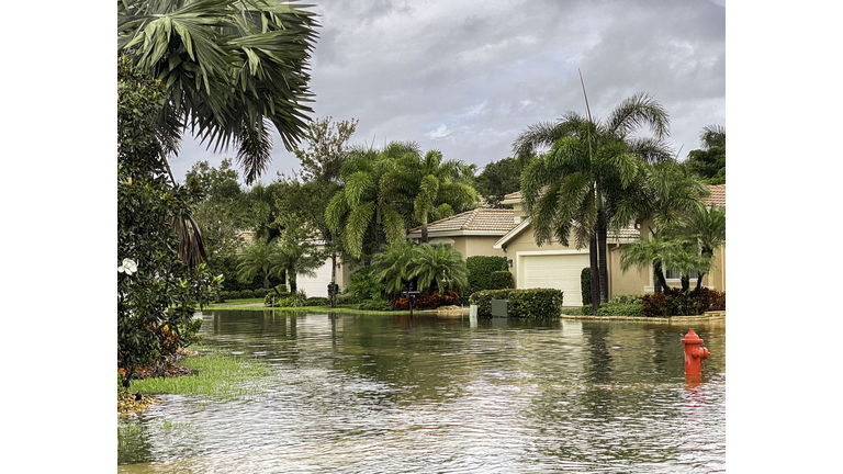 Flooded street in suburban neighborhood