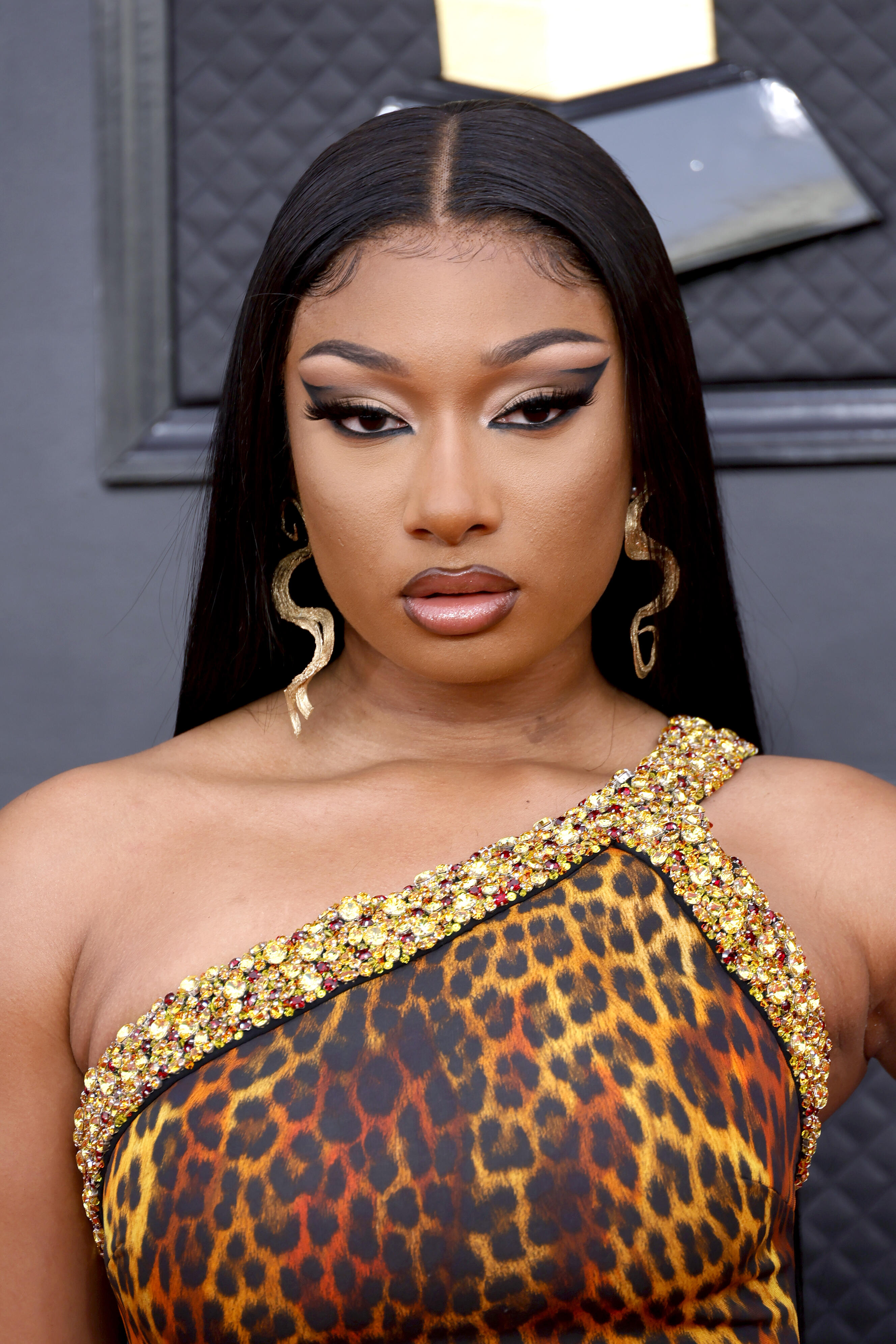 Megan The Stallion Hearthands The Significance And Influence