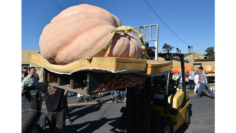 US-OFFBEAT-PUMPKIN-CONTEST