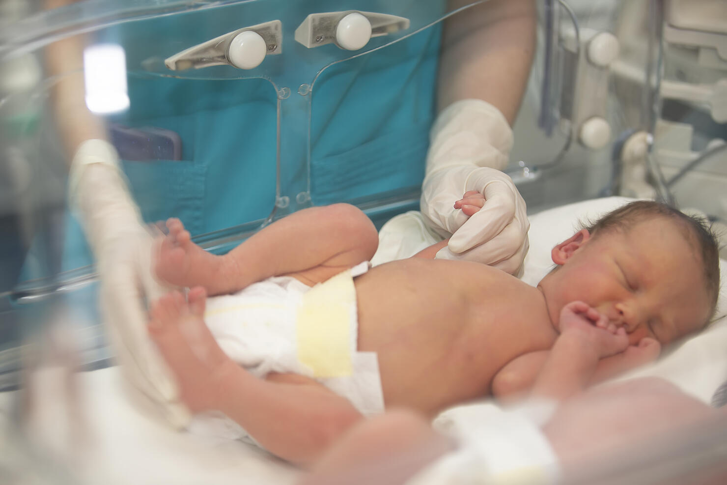 The doctor's hands in rubber gloves are holding the small fingers of a newborn baby who is lying in the medical box.