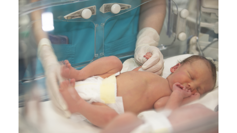 The doctor's hands in rubber gloves are holding the small fingers of a newborn baby who is lying in the medical box.