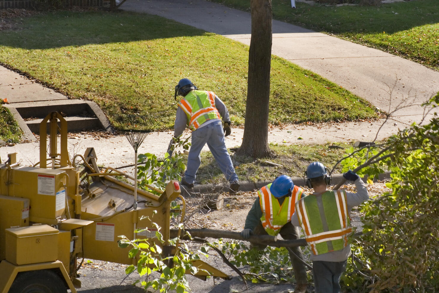 Tree Pruning Service with Wood Chipper and Workers on Street