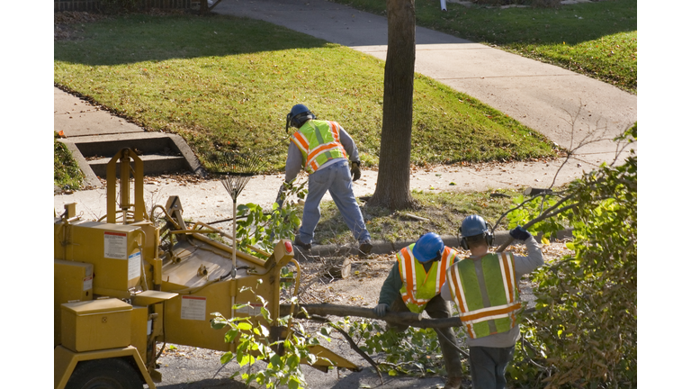 Tree Pruning Service with Wood Chipper and Workers on Street