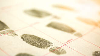 Florida Launches Statewide Animal Abuser Database Under New Dexter’s Law