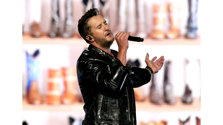 54th Academy Of Country Music Awards - Show