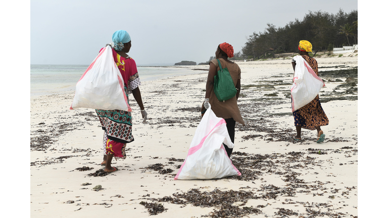 Manatee County Coquina Beach Cleanup being held this Saturday, October 15th