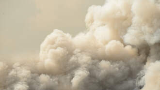 The Cause Of Most Arizona Wildfires Is Surprising