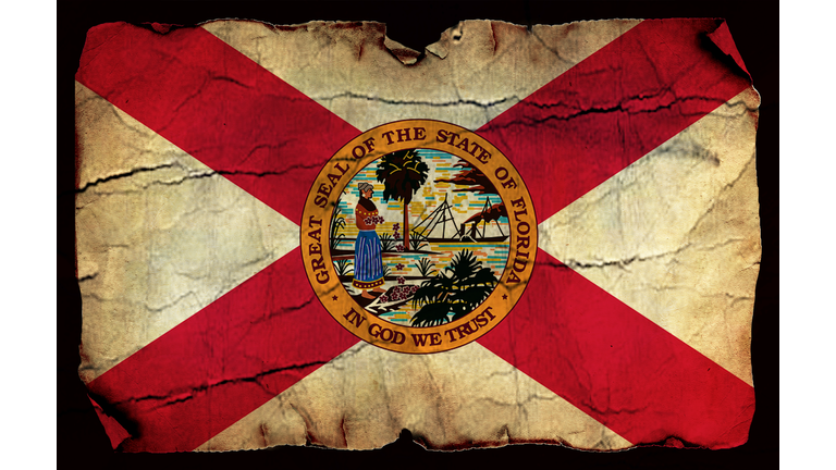 Florida State grunge flag