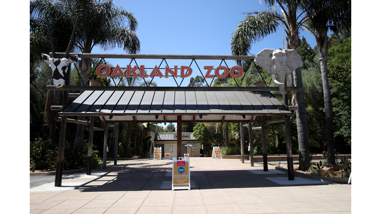 Oakland Zoo Nears Bankruptcy As Coronavirus Forces Extended Closure