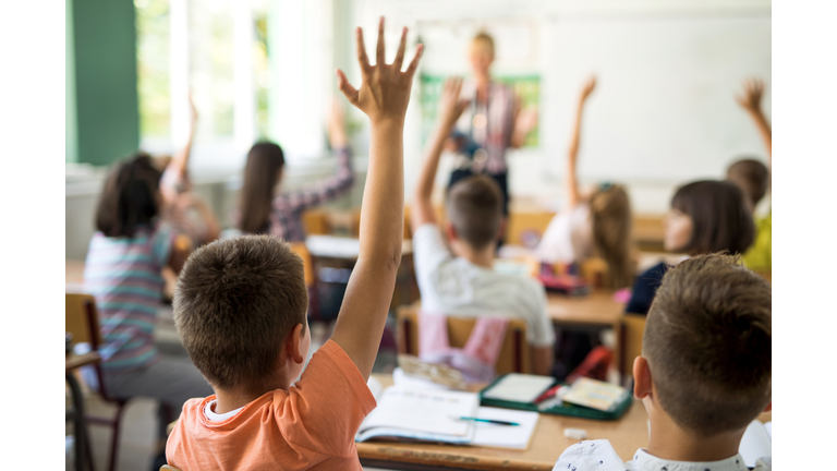 Back view of schoolboy raising hand to answer the question.