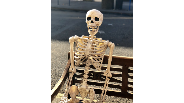 Skeleton sitting on a bench