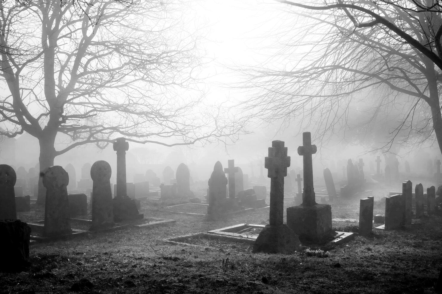 misty grave yard with tombstones