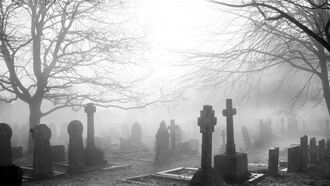 Vanishing Dead, UFOs & 'Insomniac' Open Lines