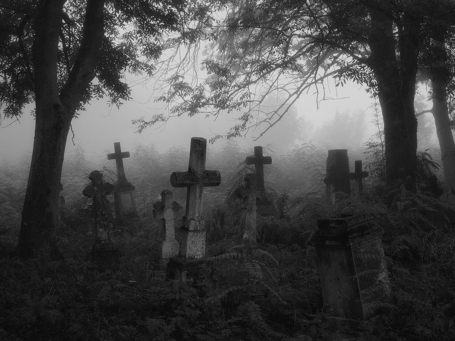 this-is-the-spookiest-graveyard-in-florida-iheart