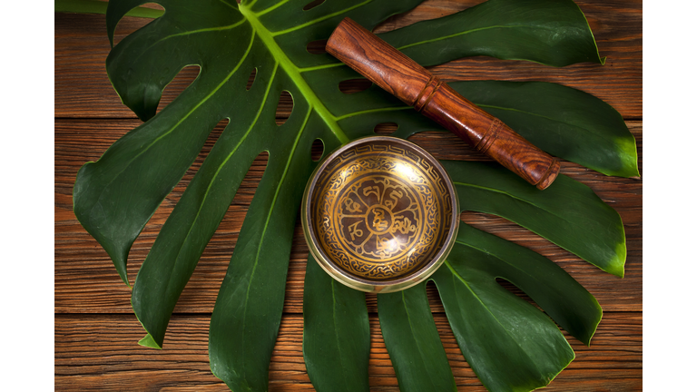 Tibetan singing bowl on a monstera leaf