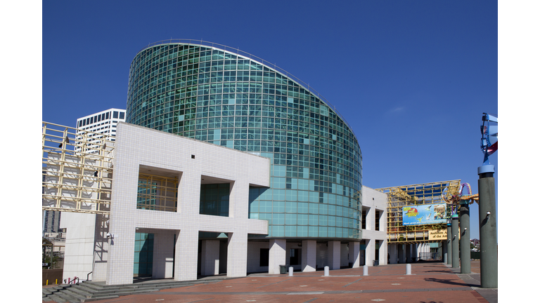 Audubon Aquarium of the Americas