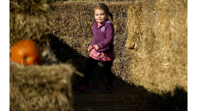 With Halloween just days away, a young g