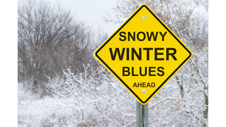 Snowy Winter Blues Road Warning Sign