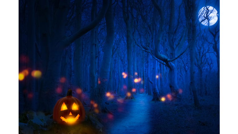 haunted forest at blue moon halloween night, jack o lantern with spooky lights like specters between knobby trees, invitation card concept with copy space