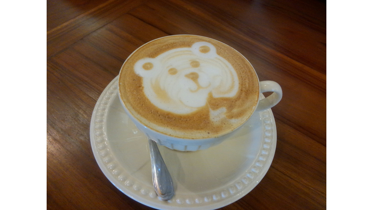 Bear Face On Fresh Cup Of Coffee