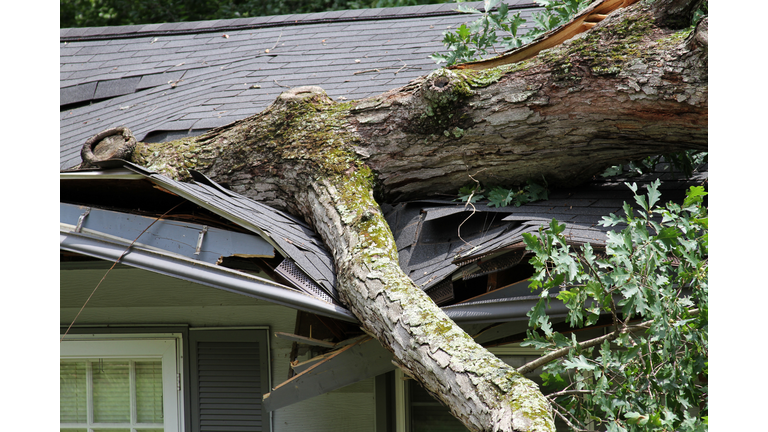 Storm Damage, Tree Splits a Roof