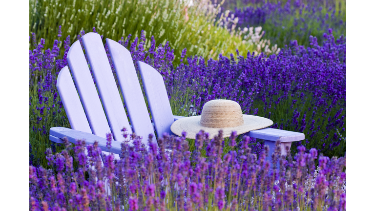 Hat and Adirondack Chair in Lavender Field