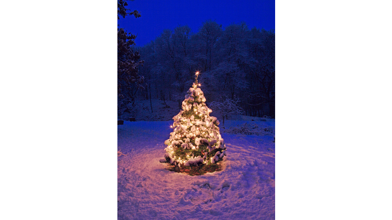 Christmas tree outside in snowy garden