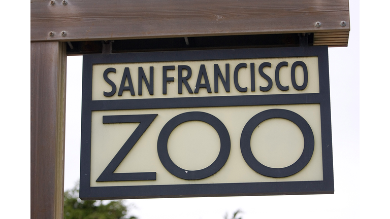 San Francisco Zoo Remains Closed For Investigation Into Tiger Tragedy