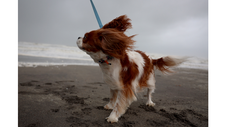 Tropical Storm Nicole Bears Down On Florida's Atlantic Coast
