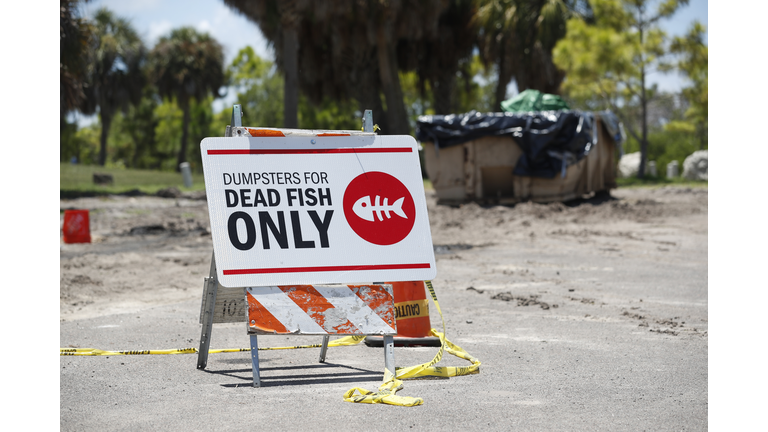 Red Tide Advisory Expanded in Sarasota County to All 16 Local Beaches