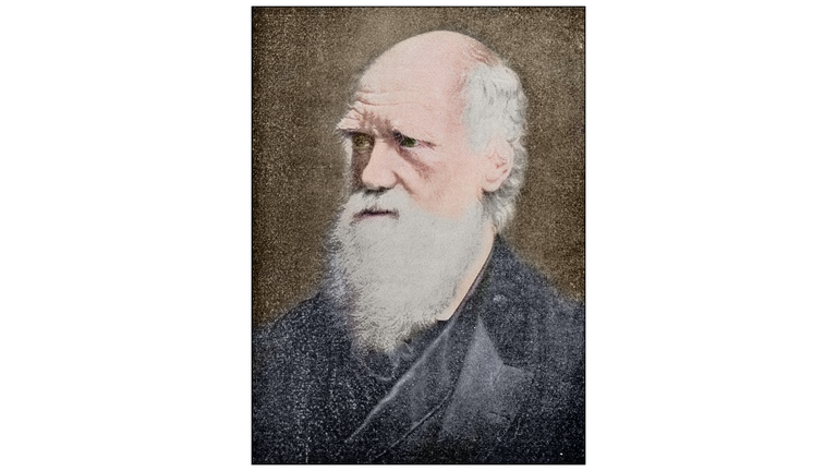 Antique photograph: Charles Darwin