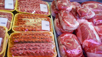 Masked Speaker - Exotic Meats