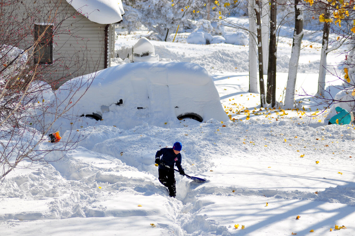 For First Time In 70 Years, Buffalo Totals More Snow Than Mayville