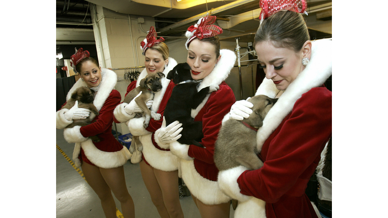 Radio City Rockettes (L-R) Shayna Harris