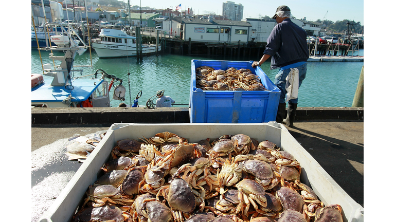 California's Dungeness Crab Seasons Starts