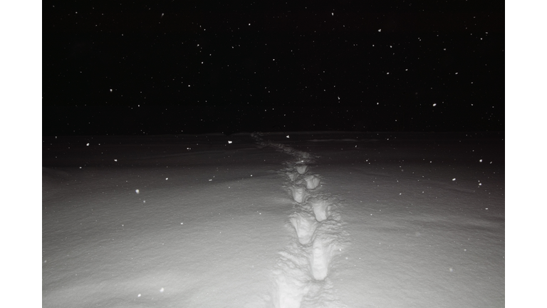 Sweden, Porjus Norrbotten, Footprints in snow