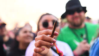 HEY MAN WHAT ARE YOU SMOKIN? 