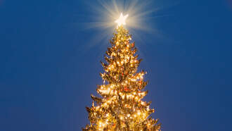 Sometimes Christmas Is About "At Least I Tried"