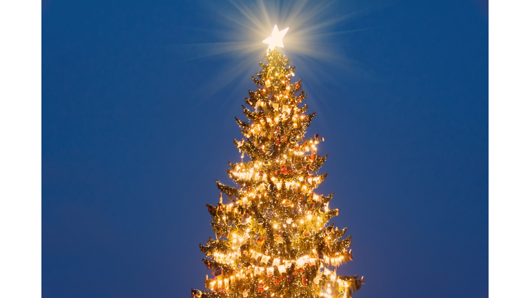 Christmas tree with a bright star on top of the head in the evening on the outside street.